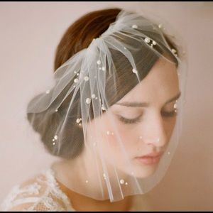 Mini veil birdcage veil wedding